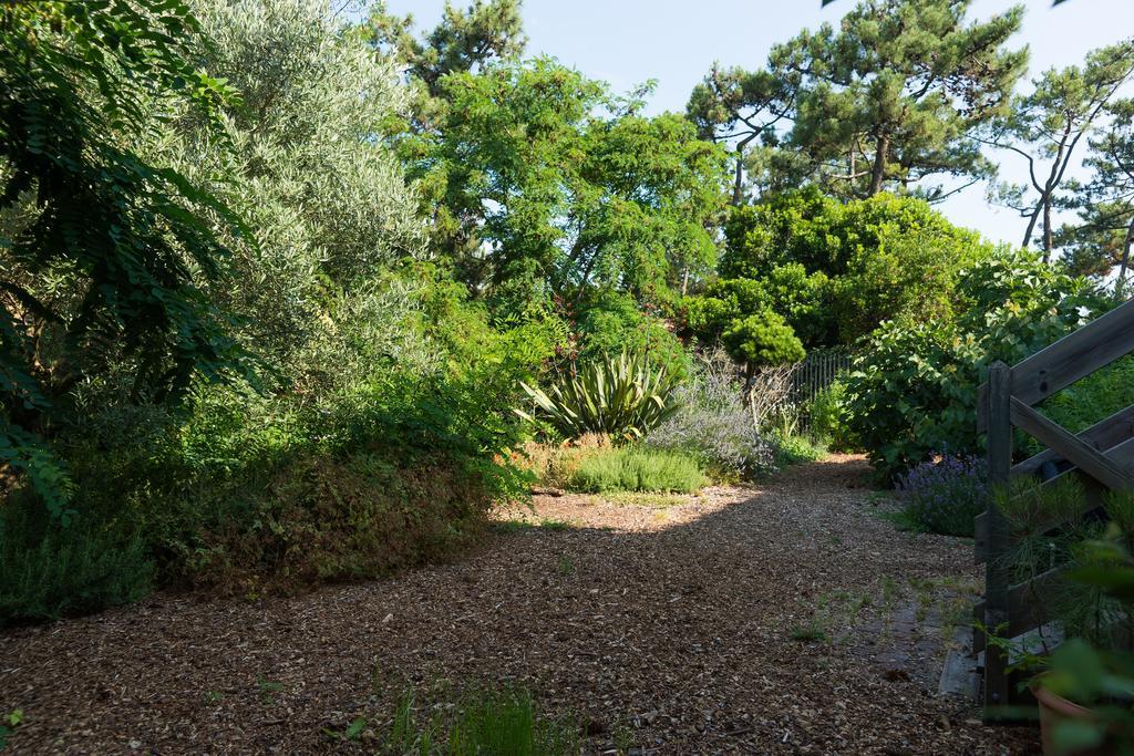 Le Lodge Du Cap Ferret Lège-Cap-Ferret Buitenkant foto