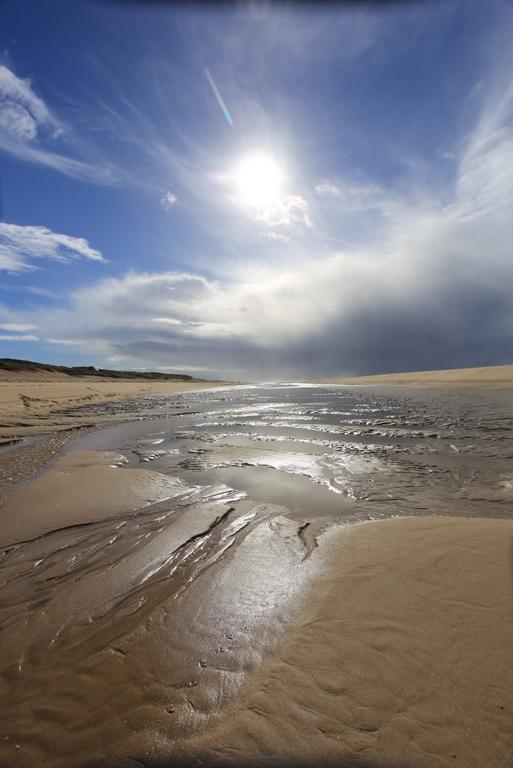 Le Lodge Du Cap Ferret Lège-Cap-Ferret Buitenkant foto