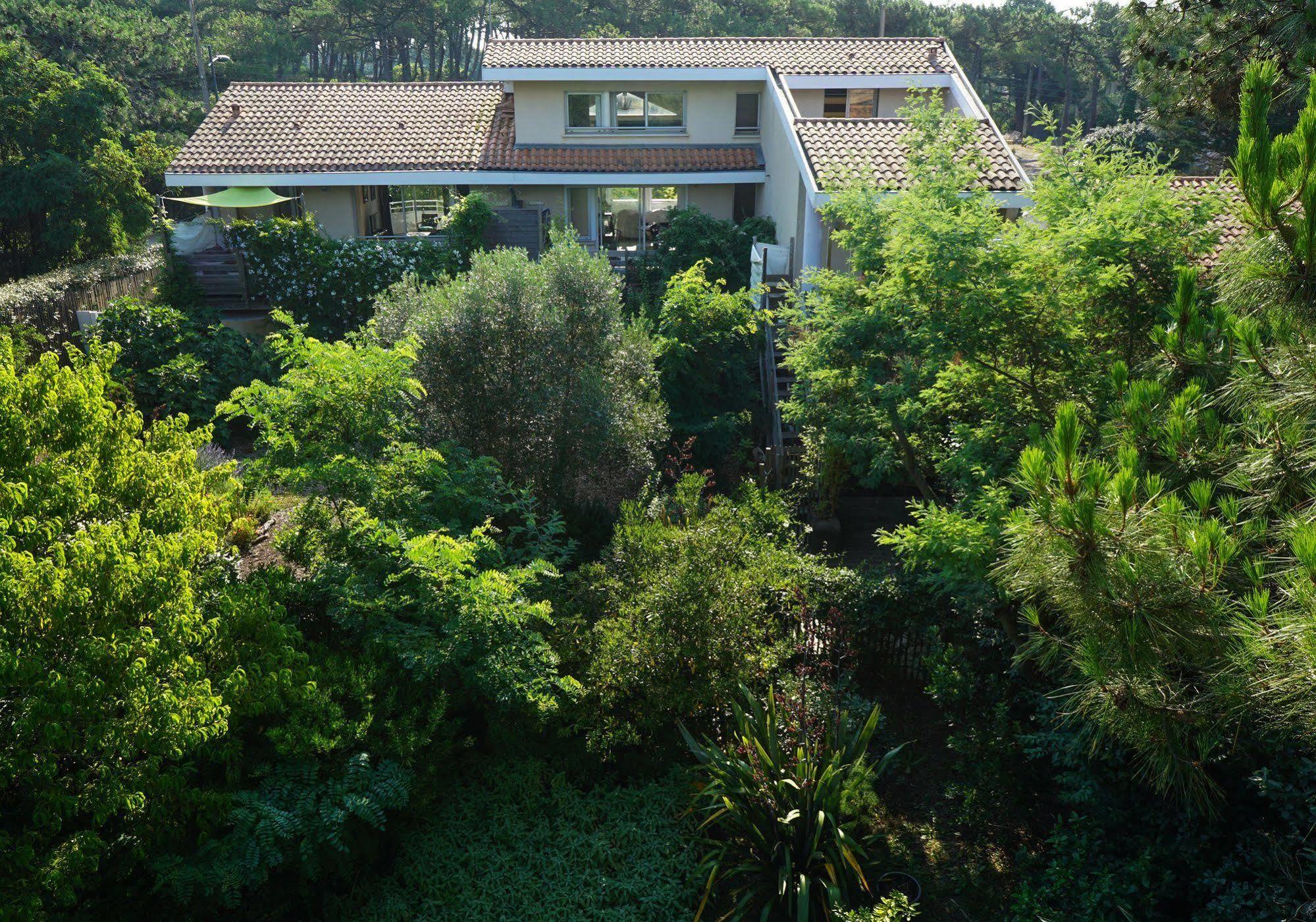 Le Lodge Du Cap Ferret Lège-Cap-Ferret Buitenkant foto