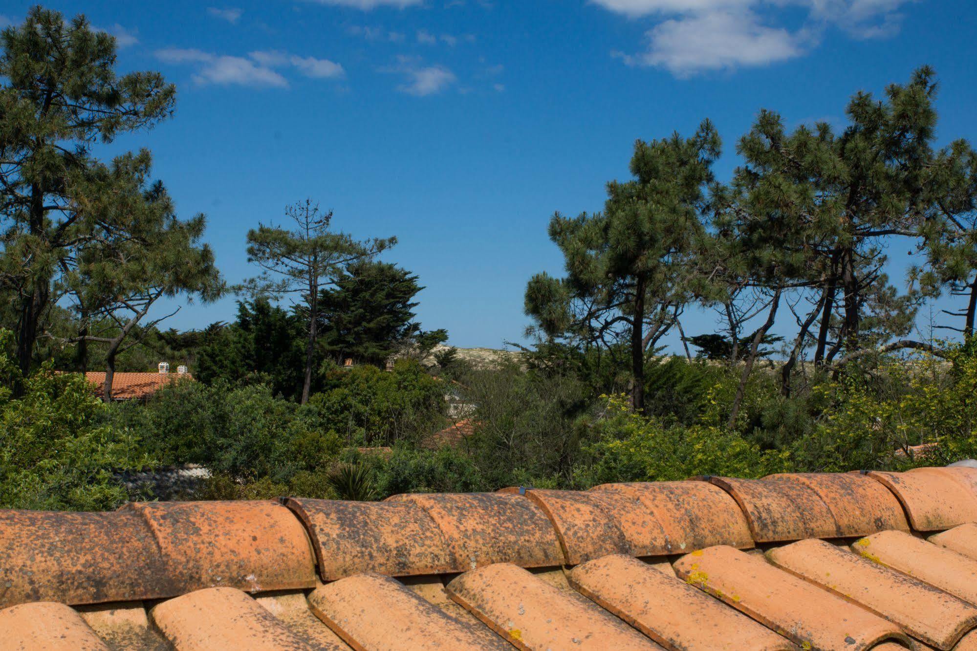 Le Lodge Du Cap Ferret Lège-Cap-Ferret Buitenkant foto