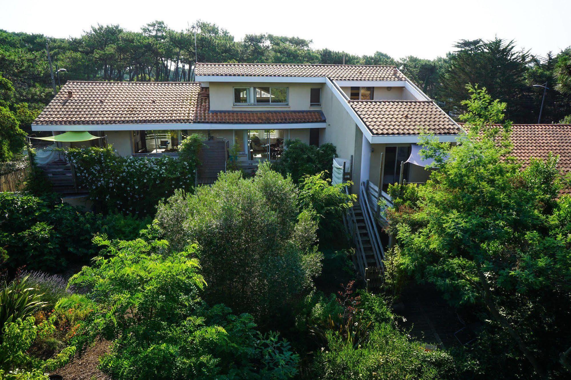 Le Lodge Du Cap Ferret Lège-Cap-Ferret Buitenkant foto